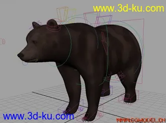 3D打印模型电影级熊带材质绑定和毛发的图片