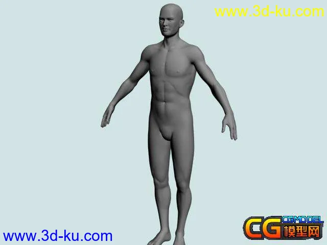 标准男人体模型的图片1