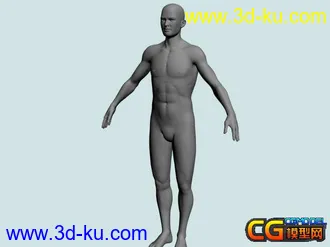 3D打印模型标准男人体的图片