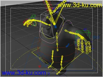 朋友给的高级绑骨模型（申精）的图片
