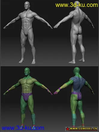 3D打印模型国外大师级经典男人体——要者从速的图片