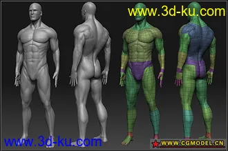 3D打印模型国外大师级经典男人体——要者从速的图片