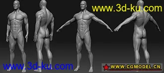 3D打印模型国外大师级经典男人体——要者从速的图片