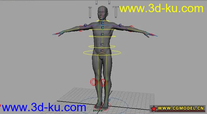 自己绑定的写实人物模型的图片1