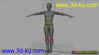 3D打印模型自己绑定的写实人物的图片