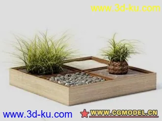 网上的盆景模型的图片