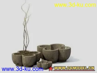 网上的盆景模型的图片