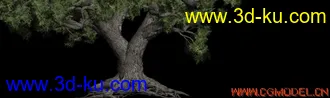 3D打印模型一棵屌爆了的树，需要的下吧的图片