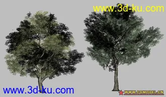 3D打印模型两款游戏用简模树的图片