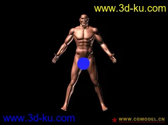 3D打印模型一个猛男和一个小姑娘的图片