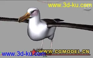 3D打印模型鸟和会飞的鸭子...原创。的图片