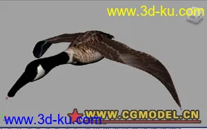 3D打印模型鸟和会飞的鸭子...原创。的图片