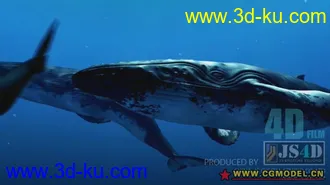 3D打印模型我做的高精座头鲸...的图片