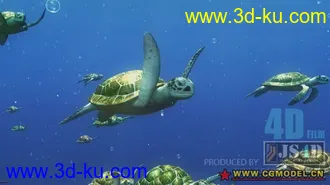 3D打印模型一只大海龟，高精原创...的图片