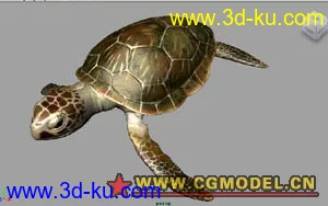 3D打印模型一只大海龟，高精原创...的图片