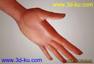 3D打印模型maya精细女人手的图片