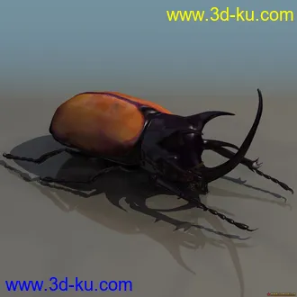 3D打印模型天牛一只啊的图片