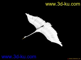 发个白鹭模型（带法线+高光)的图片
