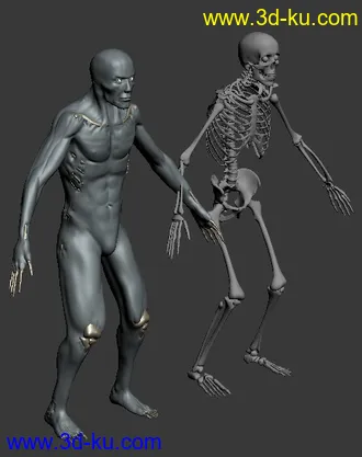 3D打印模型一个怪物高模和全身骨骼骨架的图片