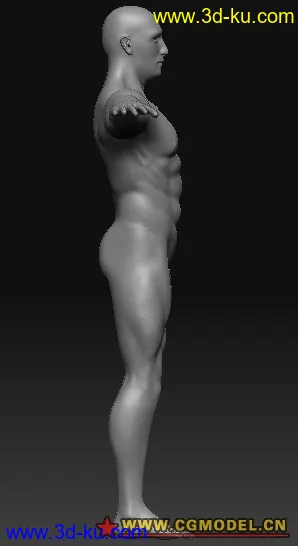 3D打印模型最近做的男人体素模的图片