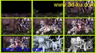 3D打印模型泰兰娜老虎的图片