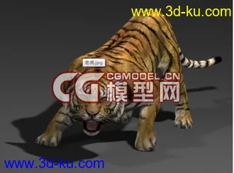 来只逼真的猛虎模型的图片