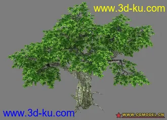 3D打印模型次时代 树的图片