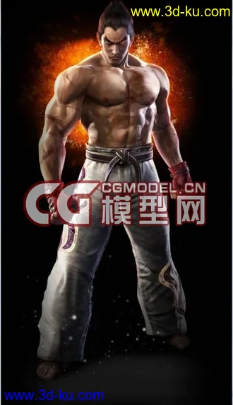 3D打印模型拳皇Kazuya Mishima的图片