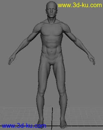 3D打印模型男人体的图片
