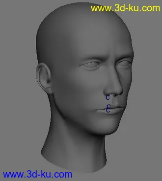 3D打印模型男人头有口腔牙齿加骨骼绑定的图片