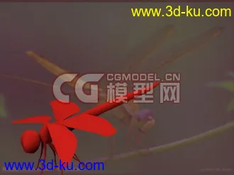 3D打印模型蜻蜓的图片