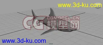 鲨鱼模型，的图片