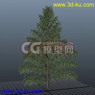 3D打印模型极品树木！！带透明贴图和高光贴图，都经过整理~~的图片