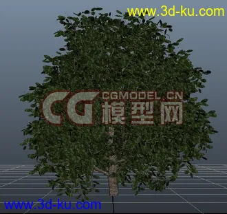 3D打印模型极品树木！！带透明贴图和高光贴图，都经过整理~~的图片