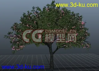3D打印模型极品树木！！带透明贴图和高光贴图，都经过整理~~的图片