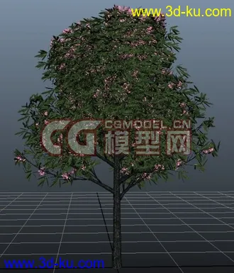 3D打印模型极品树木！！带透明贴图和高光贴图，都经过整理~~的图片