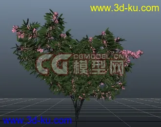 3D打印模型极品树木！！带透明贴图和高光贴图，都经过整理~~的图片