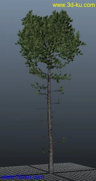 3D打印模型极品树木！！带透明贴图和高光贴图，都经过整理~~的图片