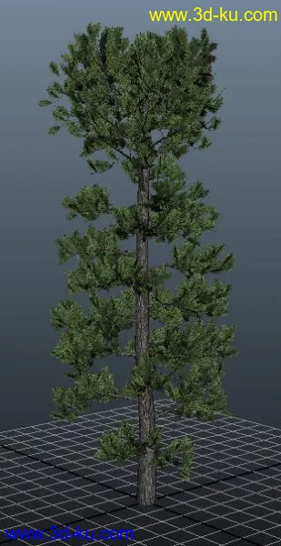 3D打印模型极品树木！！带透明贴图和高光贴图，都经过整理~~的图片