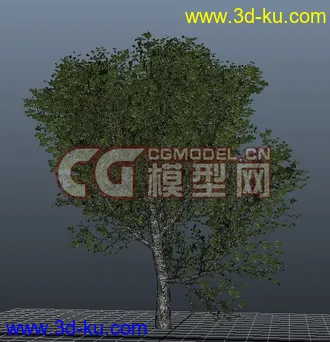 3D打印模型极品树木！！带透明贴图和高光贴图，都经过整理~~的图片