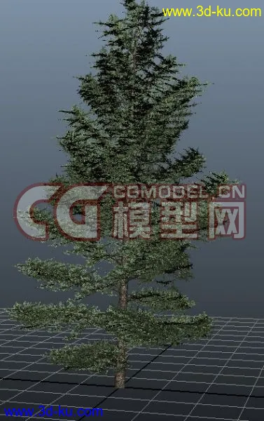 极品树木！！带透明贴图和高光贴图，都经过整理~~模型的图片12