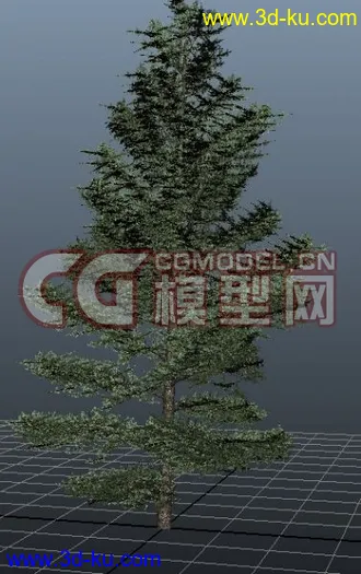 3D打印模型极品树木！！带透明贴图和高光贴图，都经过整理~~的图片