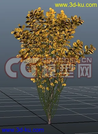3D打印模型极品树木！！带透明贴图和高光贴图，都经过整理~~的图片