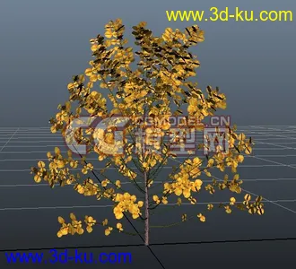 3D打印模型极品树木！！带透明贴图和高光贴图，都经过整理~~的图片