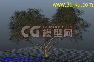 3D打印模型极品树木！！带透明贴图和高光贴图，都经过整理~~的图片