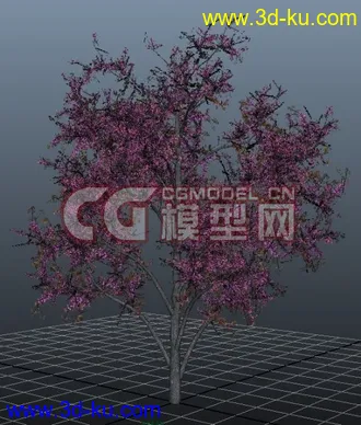 3D打印模型极品树木！！带透明贴图和高光贴图，都经过整理~~的图片