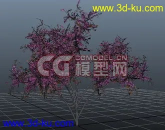 3D打印模型极品树木！！带透明贴图和高光贴图，都经过整理~~的图片