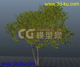 3D打印模型极品树木！！带透明贴图和高光贴图，都经过整理~~的图片