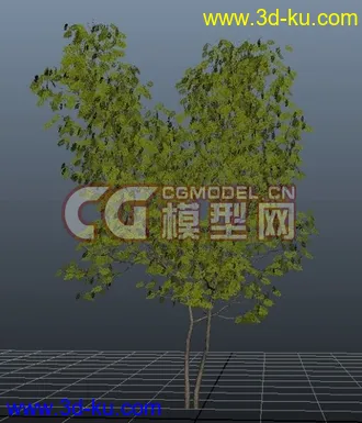 3D打印模型极品树木！！带透明贴图和高光贴图，都经过整理~~的图片
