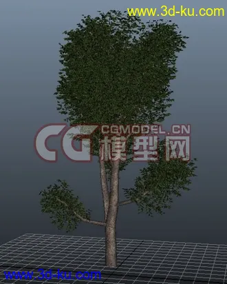3D打印模型极品树木！！带透明贴图和高光贴图，都经过整理~~的图片